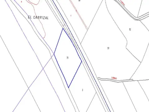 Finca rústica en Camino del Carrizal, nº SN